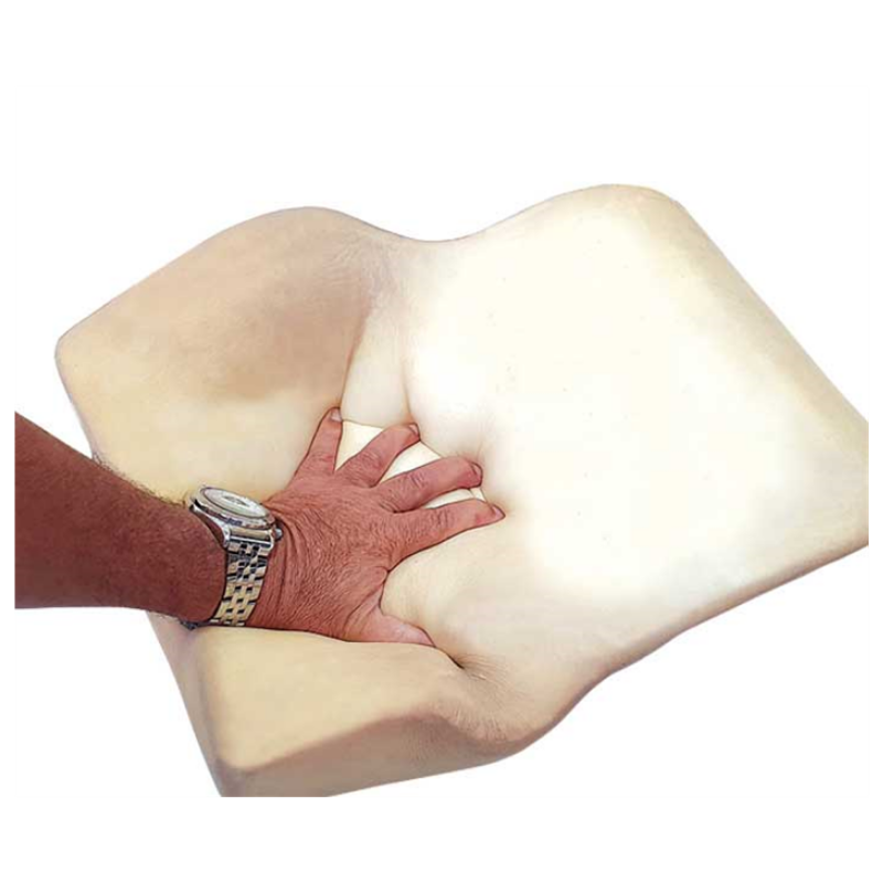 כרית אורטופדית לגב2