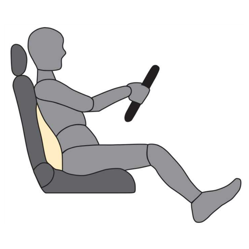 כרית אורטופדית לגב4